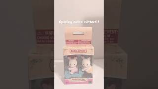 Opening calico critters💕 fyp calicocritters [upl. by Neelyahs]