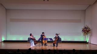 FJHaydn  Divertimento Dmajor for 3Violoncellos [upl. by Wooster]