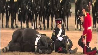 Beating Retreat 2013 The Household Cavalry Mounted Band [upl. by Adallard594]