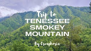 Trip to Tennessee  Smokey Mountain  A Drive to Remember [upl. by Nirac835]