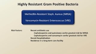 Antibiotics for Gram Positive Infections Antibiotics  Lecture 4 [upl. by Ahsirak]