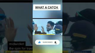 Dananjaya de Silva ‘s brilliant catch  shorts  cricket [upl. by Sabian]