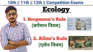 Bergmanns Rule And Allens Rule In Hindi  Ecology  By Dadhich Sir [upl. by Elleirbag969]