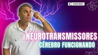 Neurotransmissores Dr Nelson Marques [upl. by Aihsenat]