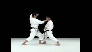 Masao Kagawa  The Art of Kata  Kanku Dai  Explanation [upl. by Reiner]