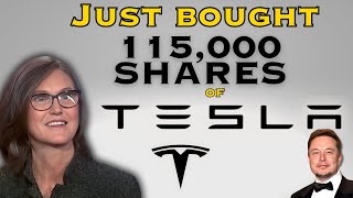 115000 SHARES OF TESLA STOCK JUST BOUGHT 🔥🚀 TESLA STOCK PRICE PREDICTION UPDATE How To Invest [upl. by Ramirolg141]