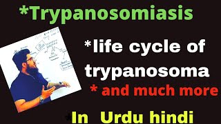 trypanosomiasis and life cycle of trypanosoma In urdu hindi sleeping sickness [upl. by Angie]