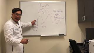 Immunoglobulin IgG and IgM interpretation of serological tests [upl. by Alehcim]