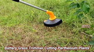 Battery Grass Trimmer quotCutting Parthenium Plantsquot  📲 7013000139 [upl. by Adnamaa341]