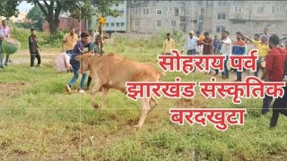 सोहराय झारखंड के संस्कृतिक पर्व बरदखुटा [upl. by Naaman111]