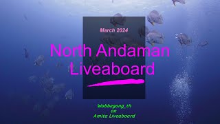 2024 03 North Andaman with Amita Liveaboard  Thailand [upl. by Deming]