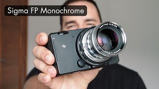 Sigma FP Monochrome Review [upl. by Adeehsar]