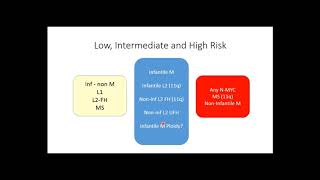 Neuroblastoma Risk Stratification and Treatment OverviewDr Nehal Khanna [upl. by Avlem]