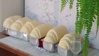 Pão Caseiro Receita Simples e Econômica  Saiba o Segredo para seus Pães Ficar Assim [upl. by Manwell31]