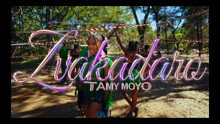 Tamy Moyo Zvakadaro Official Video [upl. by Haymo866]