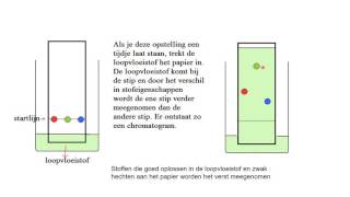 Papierchromatografie [upl. by Rebeh]