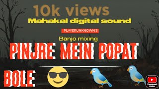 🤩Pinjre Mein 🐦Popat Bole 🔊Benjo mix mahakaldigitalsoundmandwada [upl. by Toille172]