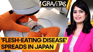 Gravitas Flesheating disease spreading at record rate in Japan [upl. by Florance]