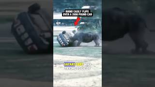 Rhino vs Cars🦏💥  NEVER Make This BEAST Angry rhino attack wildanimals [upl. by Verner]