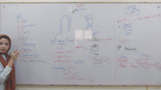 vesicular mole revision [upl. by Jenness766]