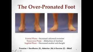 More Effective Calf Stretching Considerations for the OverPronated Foot with Dr Emily Splichal [upl. by Carleton]