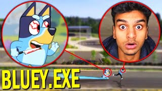 If You See CURSED BLUEY HEELER IN REAL LIFE RUN AWAY FAST BLUEYEXE [upl. by Greer964]