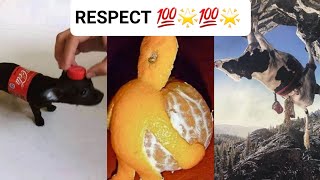 Respect video 🥶😱🥶  like a boss compilation 💯🌟💯  amazing people💨💨💨 [upl. by Odnolor]