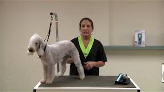 Wahl ARCO Cordless Pet Clipper Review  Go Pets Zone [upl. by Enimajneb]