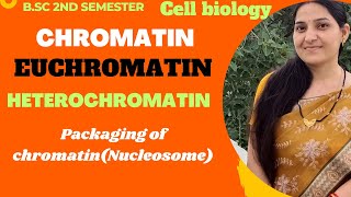 ChromatinEuchromatinHeterochromatinPackaging of ChromatinNucleosome ModelBSc 1st year [upl. by Krock535]