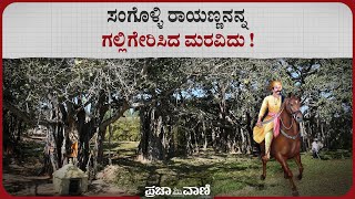 ಸಂಗೊಳ್ಳಿ ರಾಯಣ್ಣನನ್ನ ಗಲ್ಲಿಗೇರಿಸಿದ ಮರವಿದು   Sangolli Rayanna Hanging Place [upl. by Harpp]