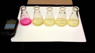 Hydrolysis of tButylChloride Kinetics Experiment 5 SN1 Reaction [upl. by Ellehcar]