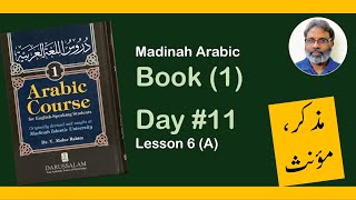 Day 11  Madinah Arabic Book 1 Lesson 6 A مذکر ، مؤنث  دروس اللغة العربية ۱ [upl. by Andromede]