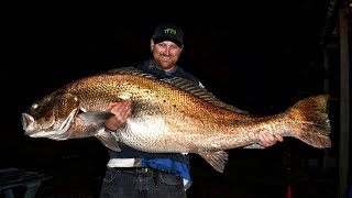 458kg Jewfish Silver mulloway Yes you read that correctly [upl. by Ettezus]