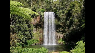 Travel at TablelandAtherton Cairns Australia [upl. by Nisa]