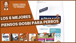 Los 6 mejores piensos gosbi para perros [upl. by Aiepoissac]