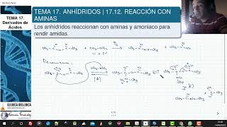 TEMA 17 ANHÍDRIDOS  1712 REACCIÓN CON AMINAS Y AMONIACO [upl. by Antone]