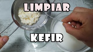 🍶CÓMO y CUÁNDO Limpiar Nódulos de KEFIR [upl. by Alyekahs428]