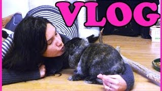 Vlog Juliana se pose des questions [upl. by Davin825]