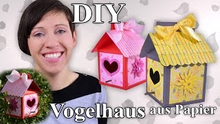 Vogelhaus aus Papier  Bastelanleitung [upl. by Penoyer]