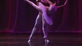 White Swan Pas de Deux  ADC Gala 2014  Melanie Hamrick Thomas Forster ABT [upl. by Ayerdna373]