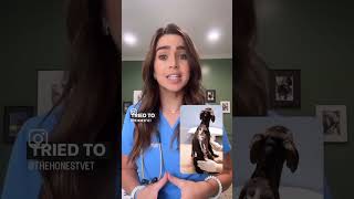 Pet safety PSA vetcare petcare petsafety vetmed dogsofyoutube doglovers dogshorts [upl. by Eanat]