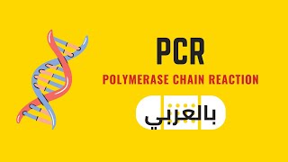 PCR Polymerase Chain Reaction شرح بالعربي [upl. by Anomar]