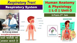 Respiration System  L2 Unit3  Respiratory Tract brief Information [upl. by Ame507]