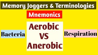 Aerobic vs AnerobicAerobic Bacteria Vs Anerobic Bacteria MnemonicsAerobic Respiration vs Anerobic [upl. by Bogoch]