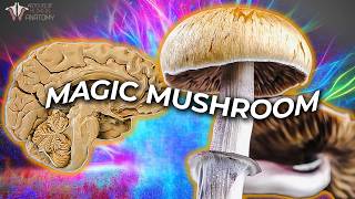 What Psilocybin Does to Your Brain  Can It Improve Mental Health [upl. by Oakie]