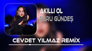 Ebru Gündeş  Akıllı Ol  Cevdet Yılmaz Remix   Sevgimin Bittiği Yerde Nefretim Başlar [upl. by Enyrhtak924]