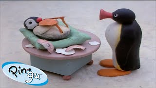 Pinga is Born 🐧  Pingu  Official Channel  Cartoons For Kids [upl. by Tranquada]