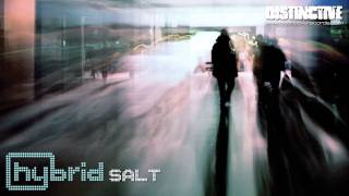 Hybrid  Salt [upl. by Cherey]