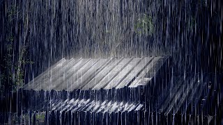 Rain Therapy Gentle Rain on Metal Roof for Deep Relaxation and Tranquil Sleep [upl. by Imoen]