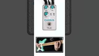 Fender  Hammertone Chorus Fender choruspedal pedalboard [upl. by Afrikah681]